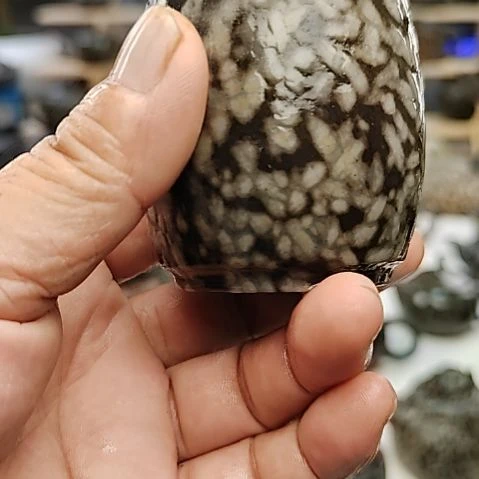 江***子米粒玉养生壶主人杯