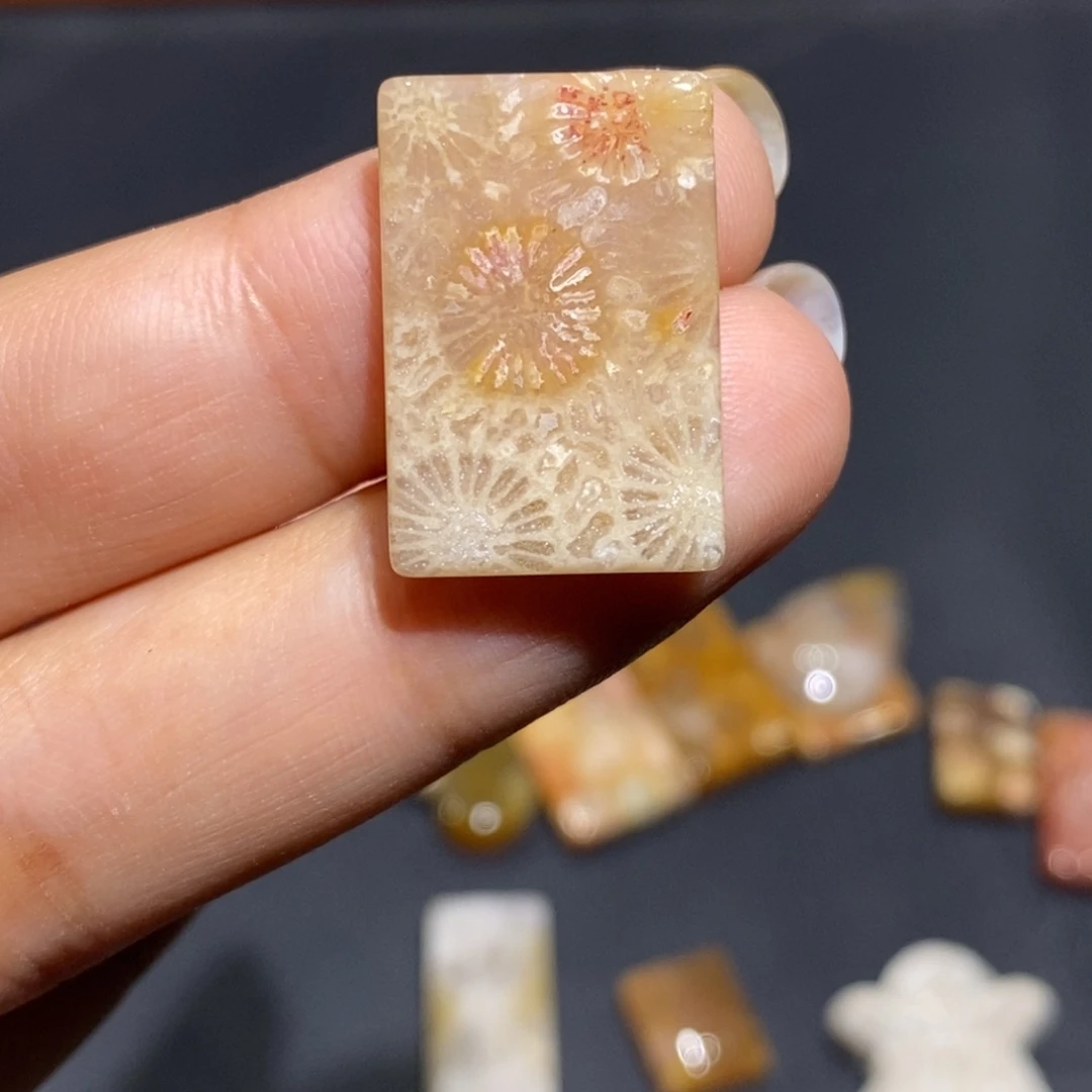 【闪购商品】未镶嵌珊瑚玉硅化玉