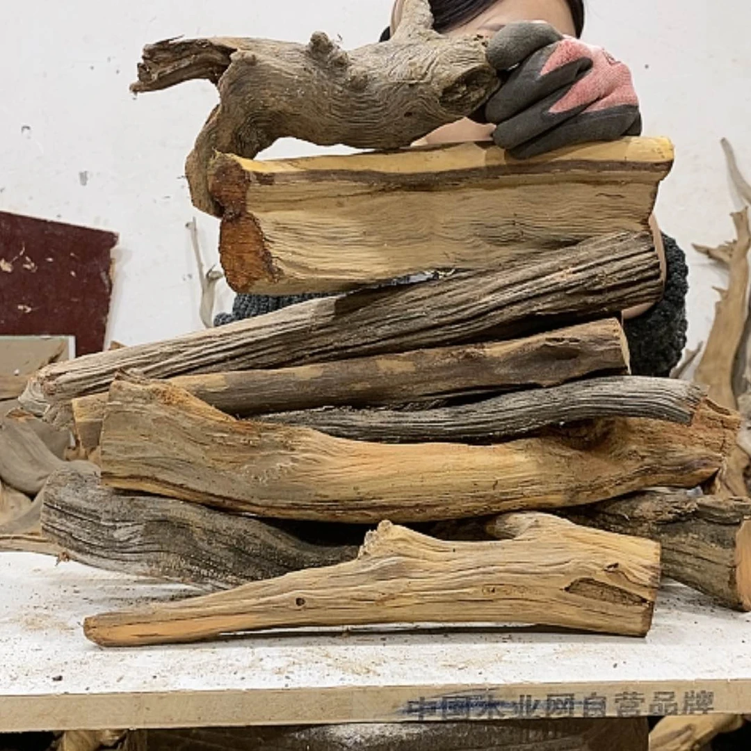 【闪购商品】柏木藏****范我们都是好孩子