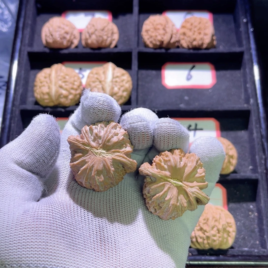 山*青秦皇岛山地果全品