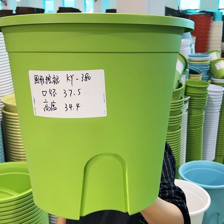 正品圆控口37.5高34果绿无托3只