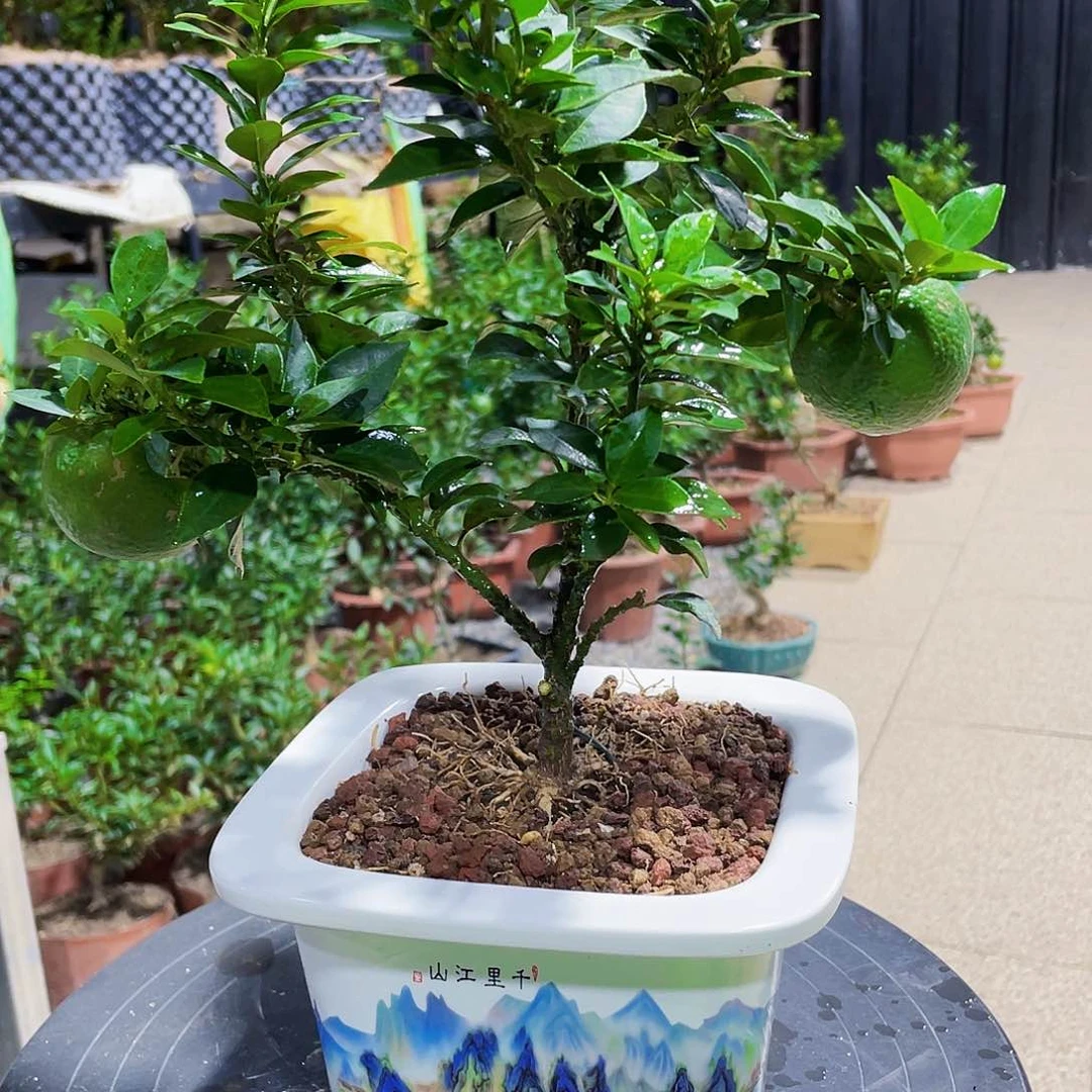 完全开放黄****?对对方更好姐姐家将计就计