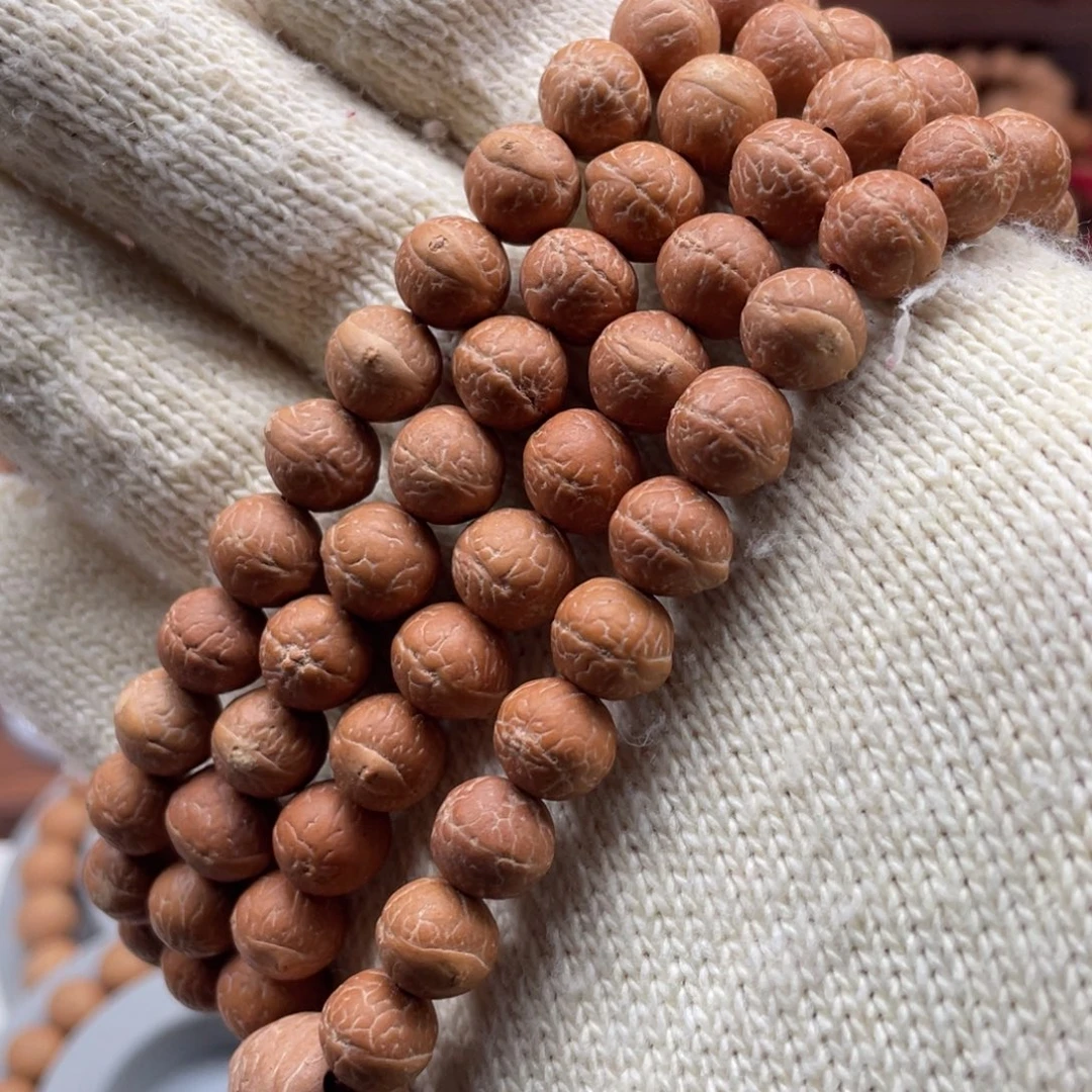 吊坠凤眼菩提尼泊尔凤眼菩提