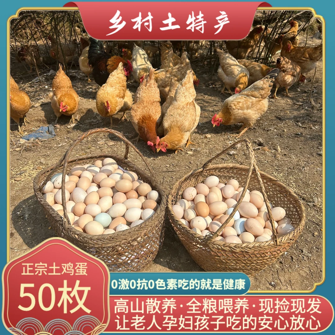 皖南九华树林生态农家散养五谷新鲜营养草鸡土鸡蛋50枚现捡现发