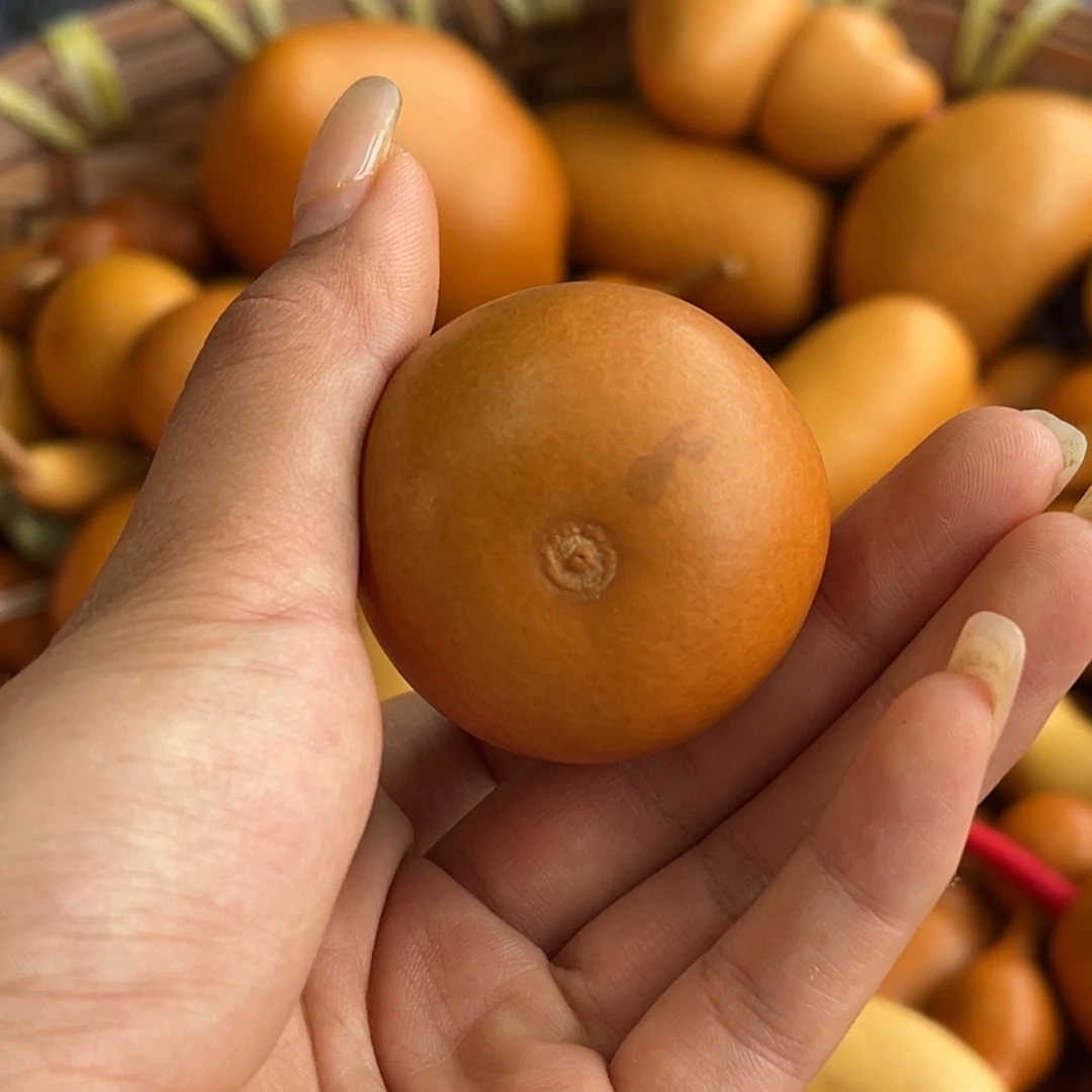 冷***天葫芦葫芦葫芦葫芦