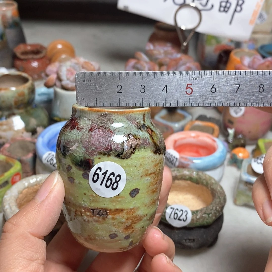 拍5送一个小礼物