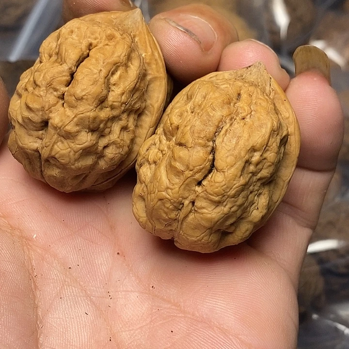 文玩核桃把件云南铁核桃19号39mm