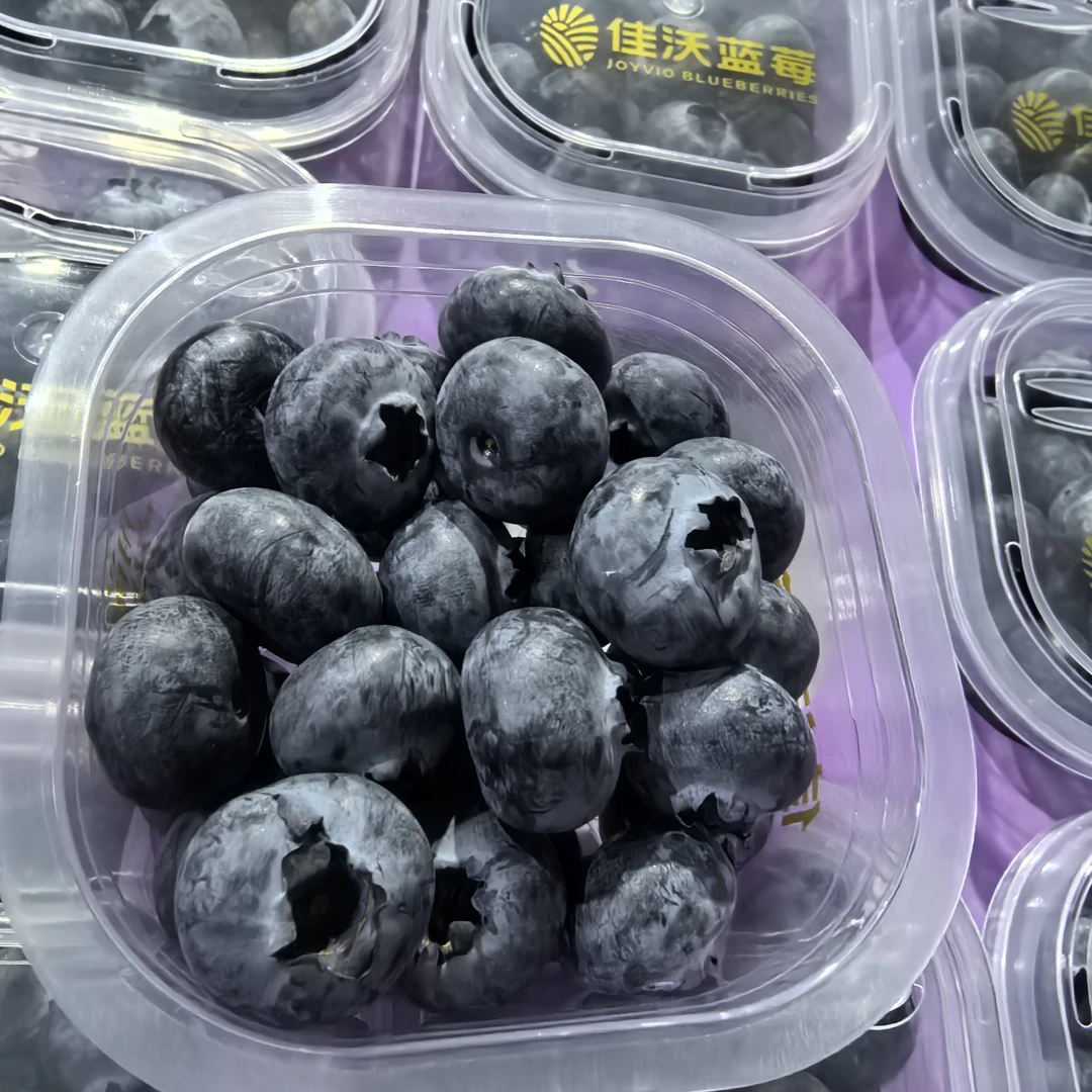 【六妈推荐】蓝莓 脆甜新鲜颗粒饱满 1盒100克辽宁发货