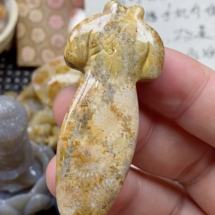 颈饰未镶嵌硅化珊瑚（珊瑚玉）有瑕