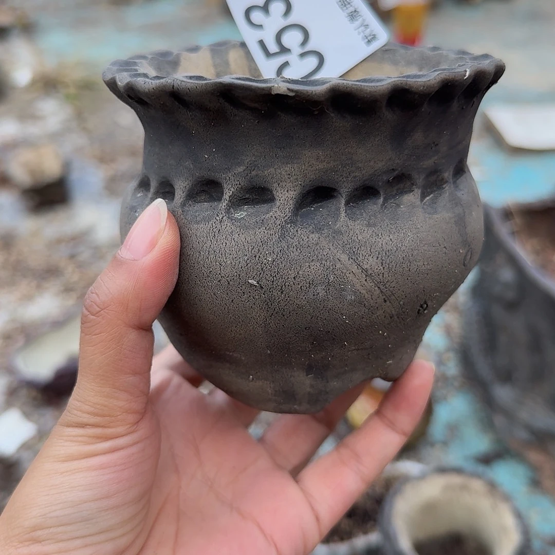 重庆小燕子欢迎大家536