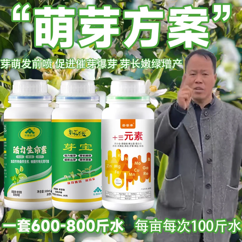 【熊猫哥哥独家萌芽方案】萌发前喷 催芽 多发芽 芽长 嫩绿 增产