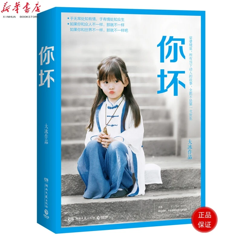 你坏 大冰的书正版书籍 书籍畅销书排行榜