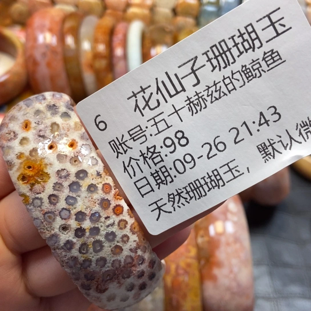五***鱼硅化珊瑚（珊瑚玉）未镶嵌珠宝半成品6