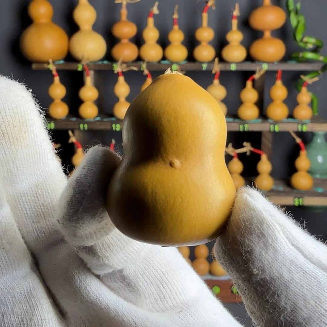 葫芦葫芦葫芦葫芦葫芦葫芦葫芦葫芦