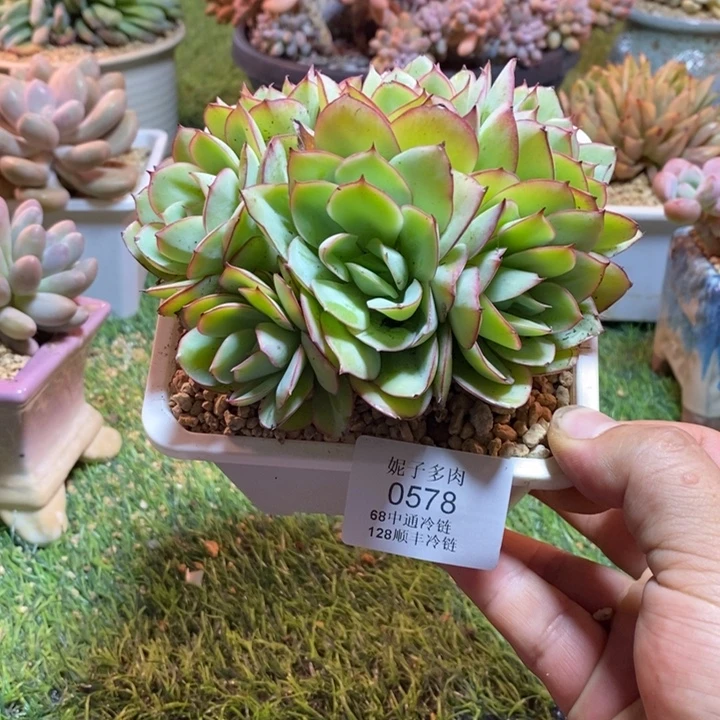 0578啊啊啊啊啊啊啊啊啊啊啊啊
