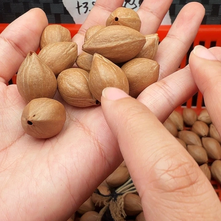 刺***客橄榄核手串/手链橄榄