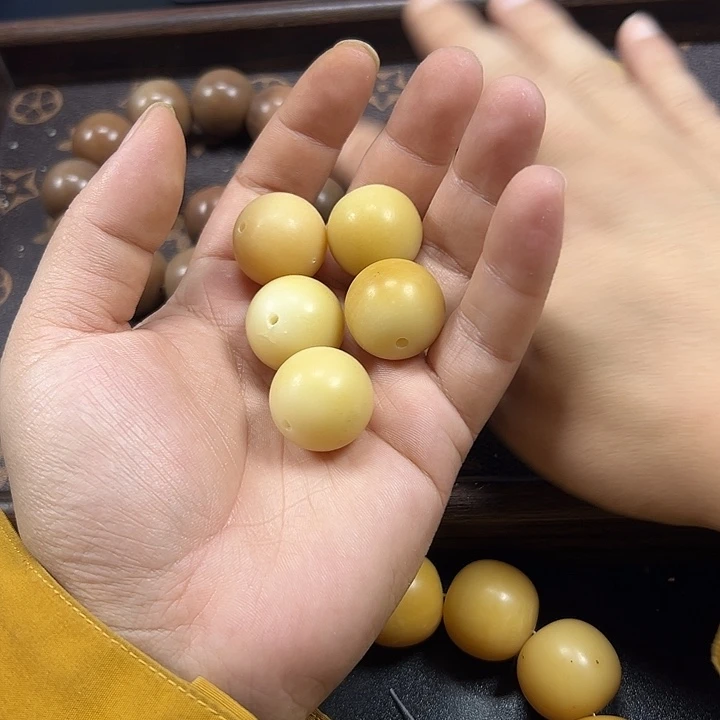 可****吊坠菩提根/象牙果