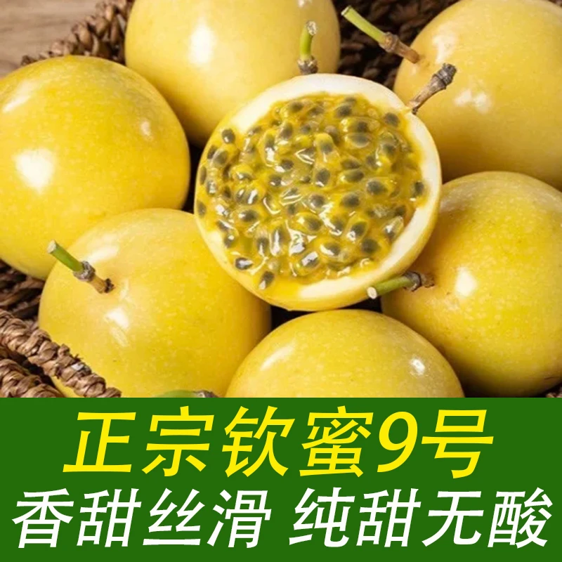 正宗广西钦蜜9号黄金百香果 果肉爆汁 新鲜现摘 产地直发