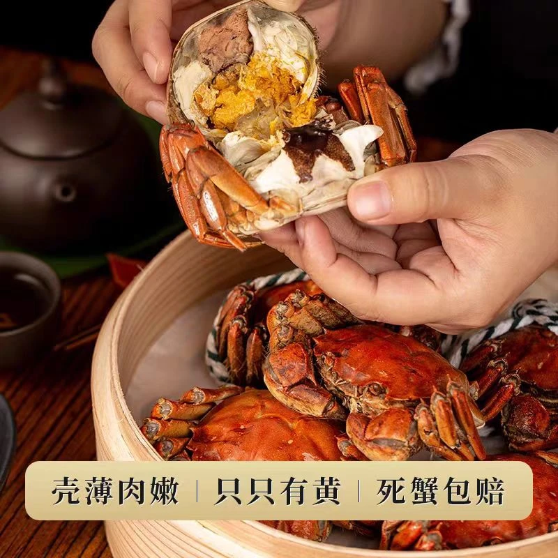 【活蟹】江苏河蟹母蟹带黄带膏单只1两-1.2两，20只 鲜活发货