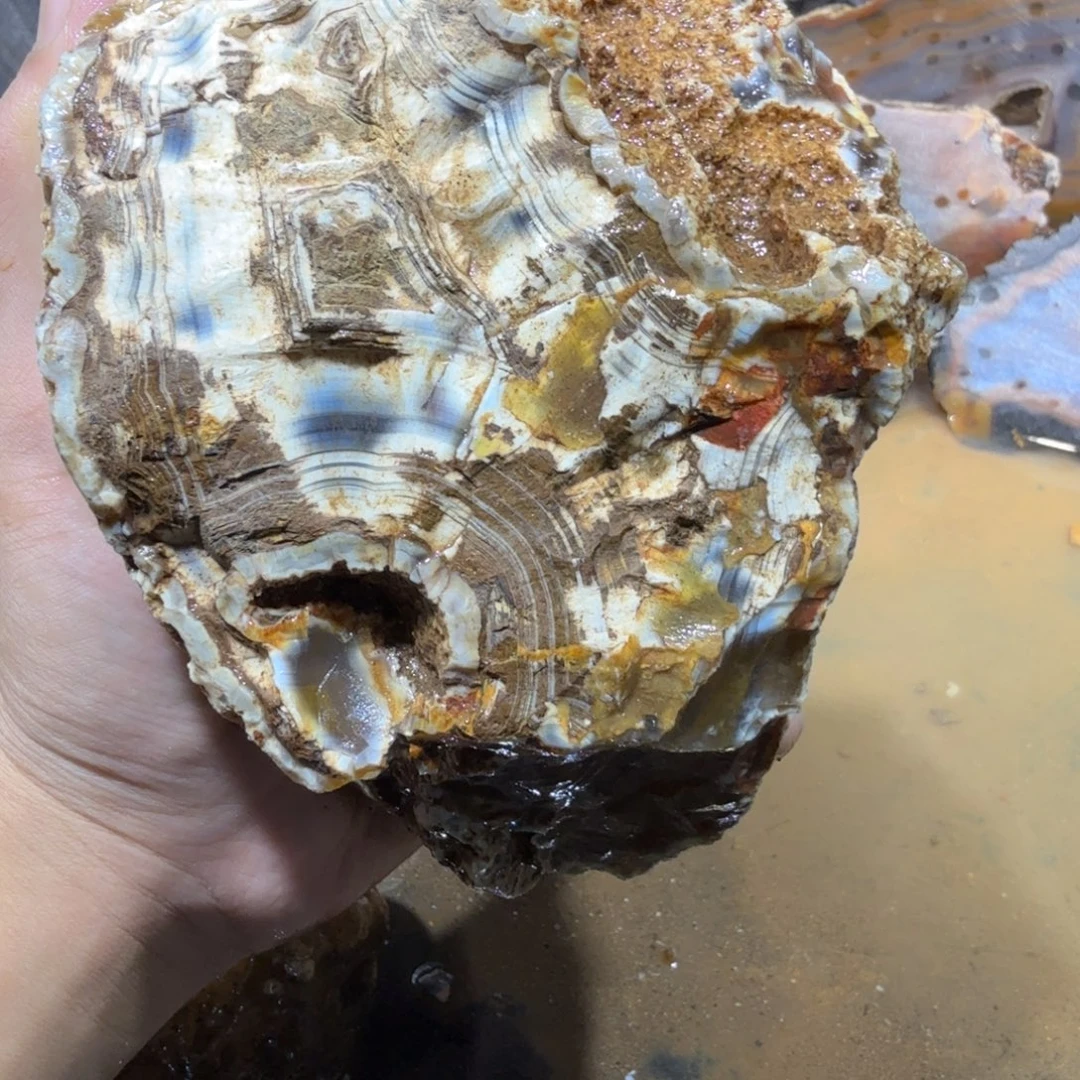 未镶嵌玛瑙/玉髓珠宝半成品