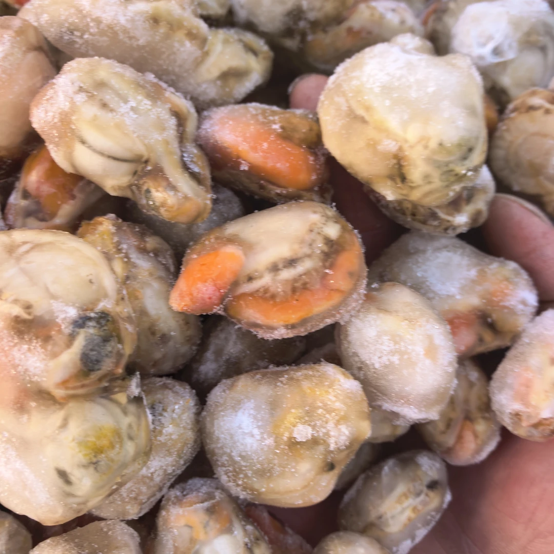 冷冻扇贝肉现剥冷冻全贝无冰衣带膏带黄无泥无沙肉质紧实海鲜