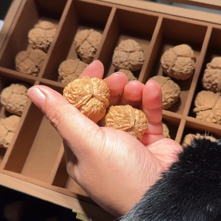 把件文玩核桃铁5号元宝三棱