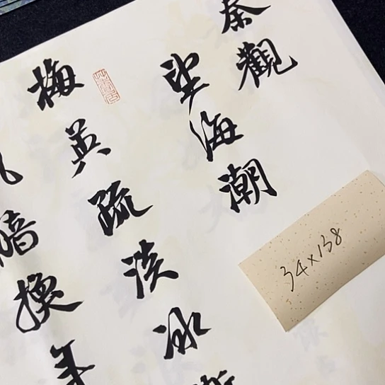 书法张建东老师书法作品