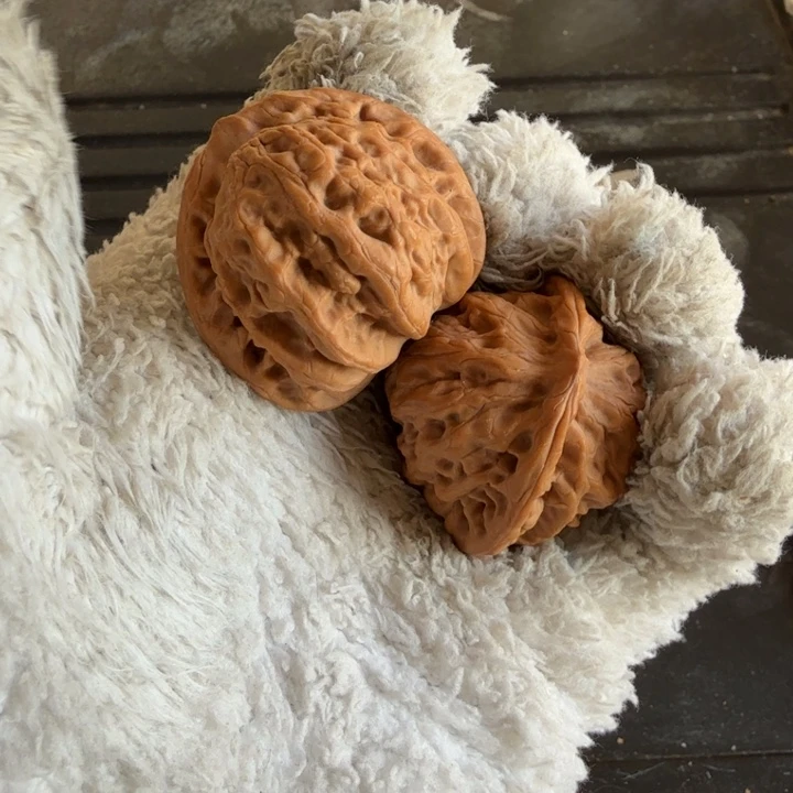 文玩核桃吊坠佛度