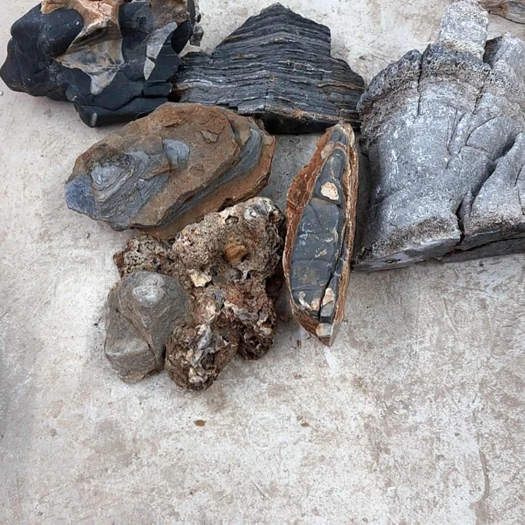 【闪购商品】香榧木小*子在一起就要努力去改变