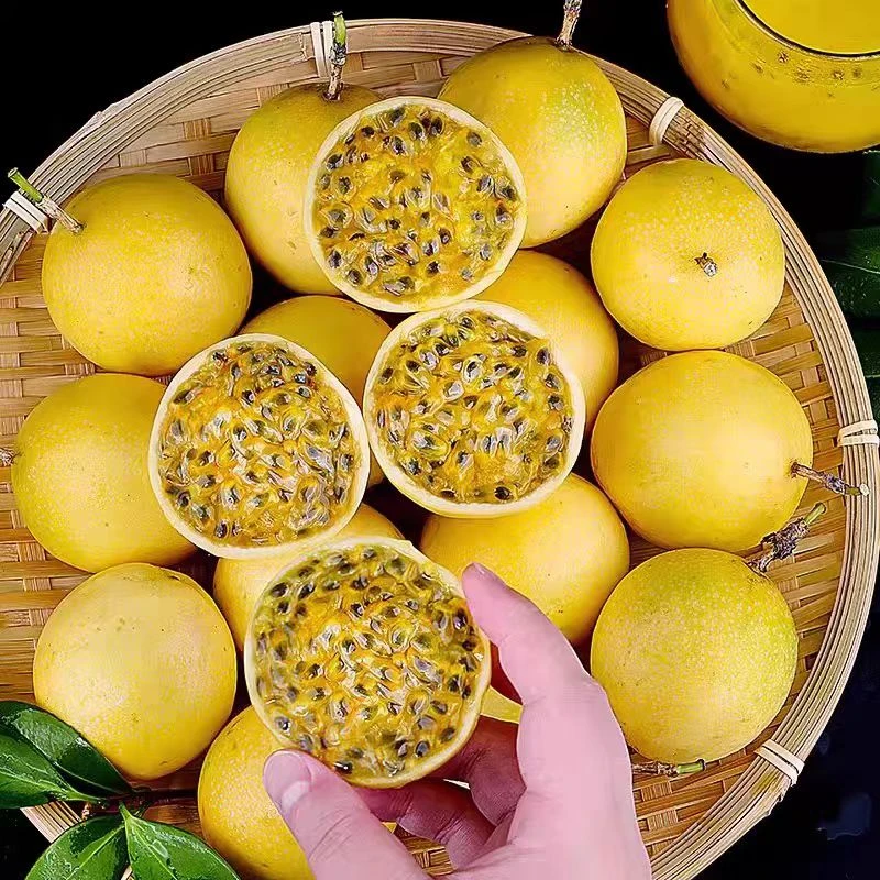 LH1【广西钦蜜9号百香果】新鲜现摘当季水果5斤鲜甜多汁送开果器