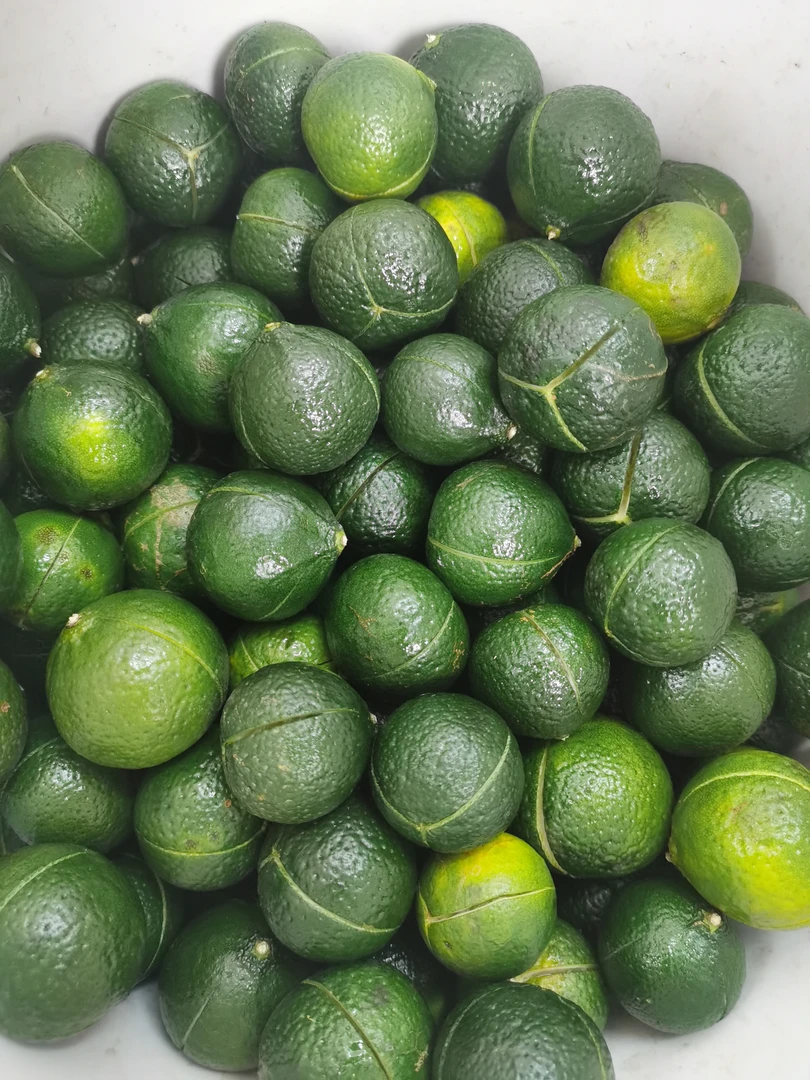 2025年茶坑11年老树青皮花香浓郁薄荷香