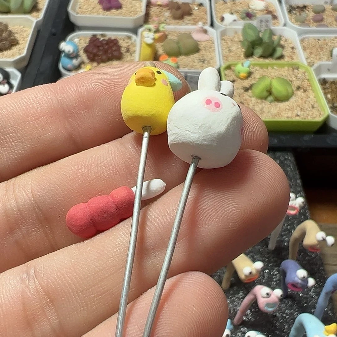 小***儿多肉肉锥 专拍一组三个