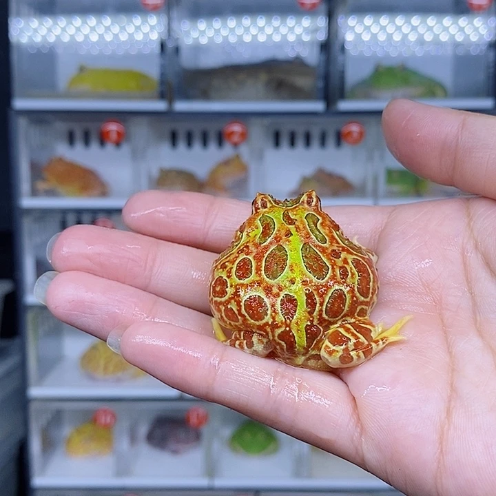 特价秒杀现货特价