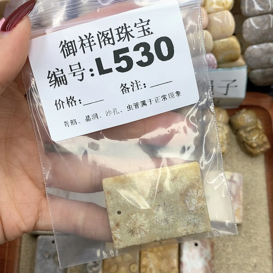 硅化珊瑚（珊瑚玉）L未镶嵌L***理