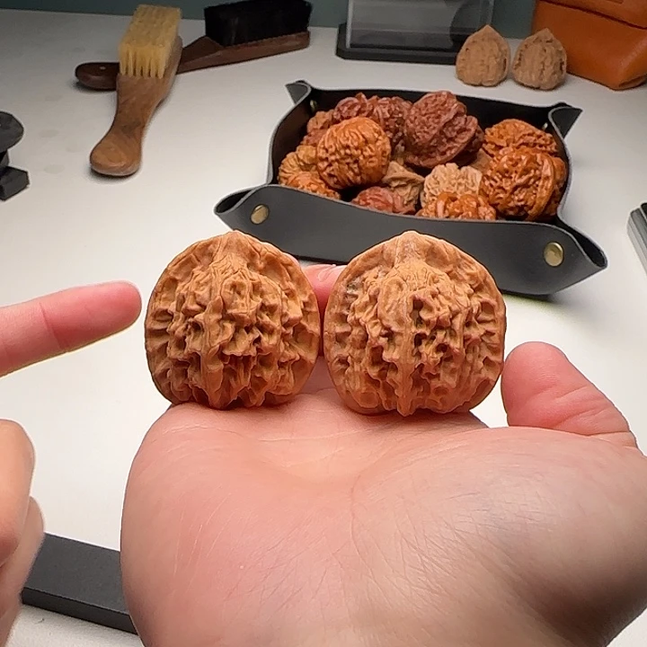 39-37-40一代天地A12号