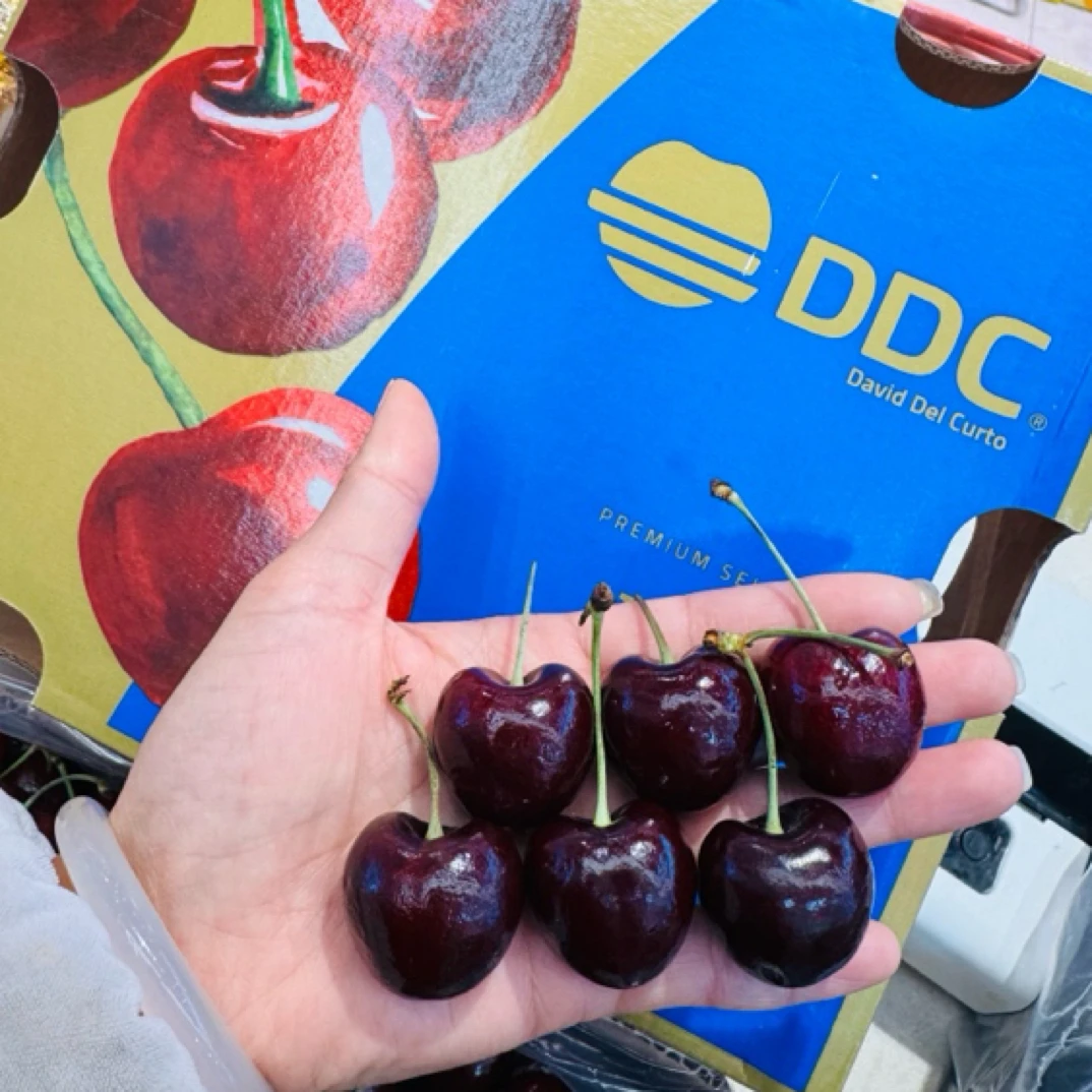 海运2JD车厘子智利进口2500克智利