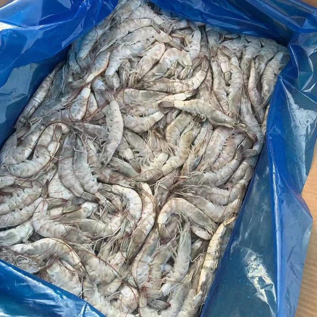 40/50盐冻海水虾19.9一斤