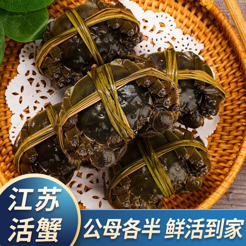 【活蟹】江苏大闸蟹公(5.0-4.7两)母(4.0-3.7两)6-10只 顺丰空运H