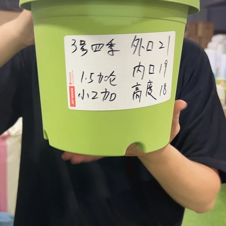 特价3号口21高18果绿色10只无托