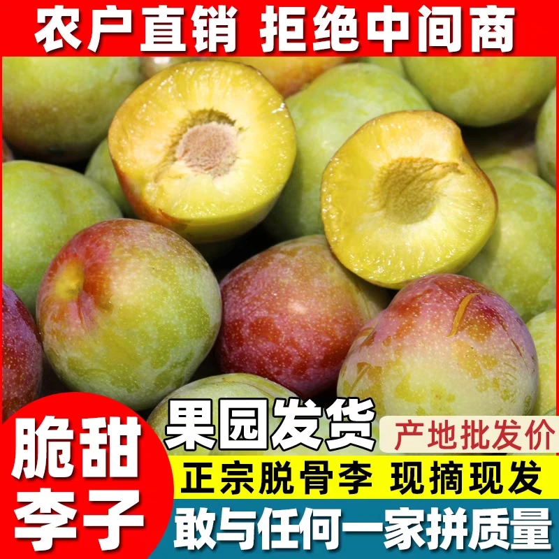 云南绥江半边红脆红李脱骨李新鲜现摘现发