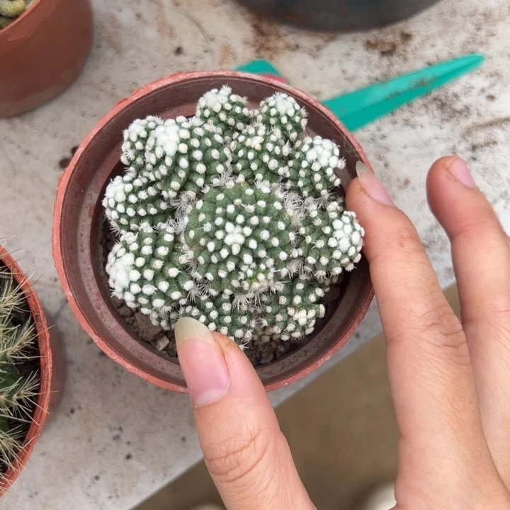 握***风吉祥如意等名家的