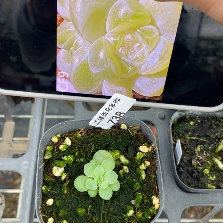 标738哈财富c9一个
