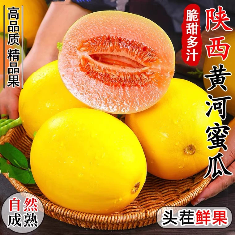 头茬黄河蜜瓜冰淇淋口感 果肉软糯细腻 汁水清甜 5斤装