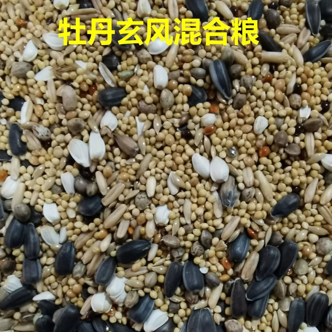 玄凤鹦鹉鸟粮混合粮适用于牡丹等中小型鹦鹉的鸟食饲料