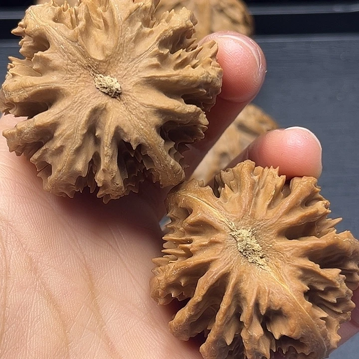王***冰木质类秦岭突突突突突突
