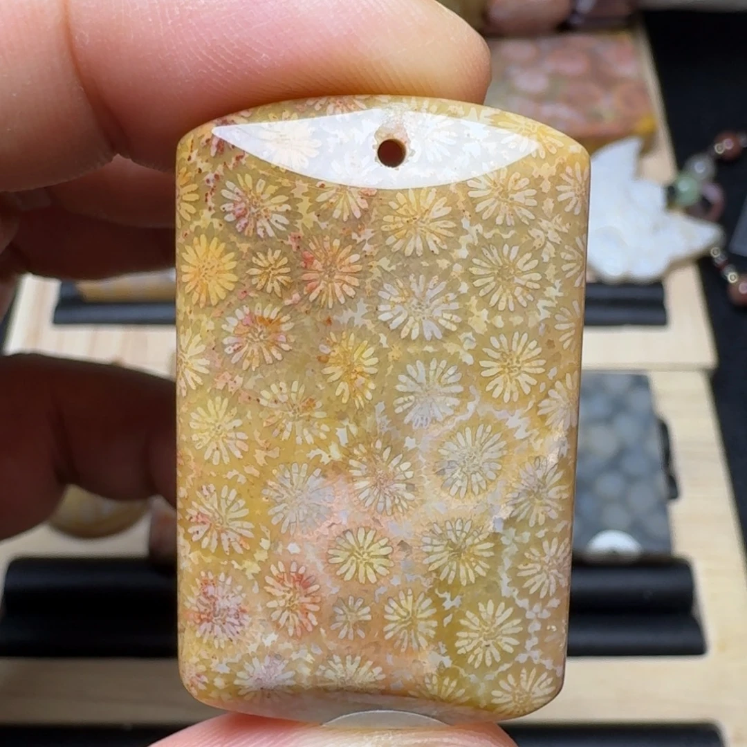 未镶嵌纯天然色有机玉石保真色硅化玉