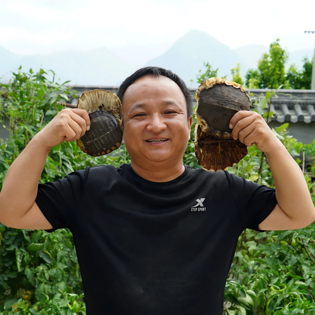 鳖甲 湖北鳖甲 养殖的鳖甲壳鳖甲片 碎片难免都有