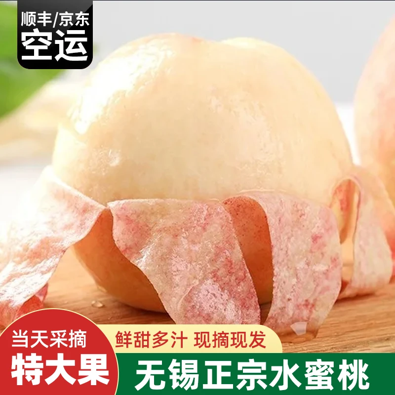 【5-6两】无锡阳山水蜜桃产地直发新鲜采摘8颗装