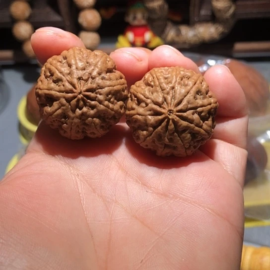 橄榄核把件多瓣金刚菩提