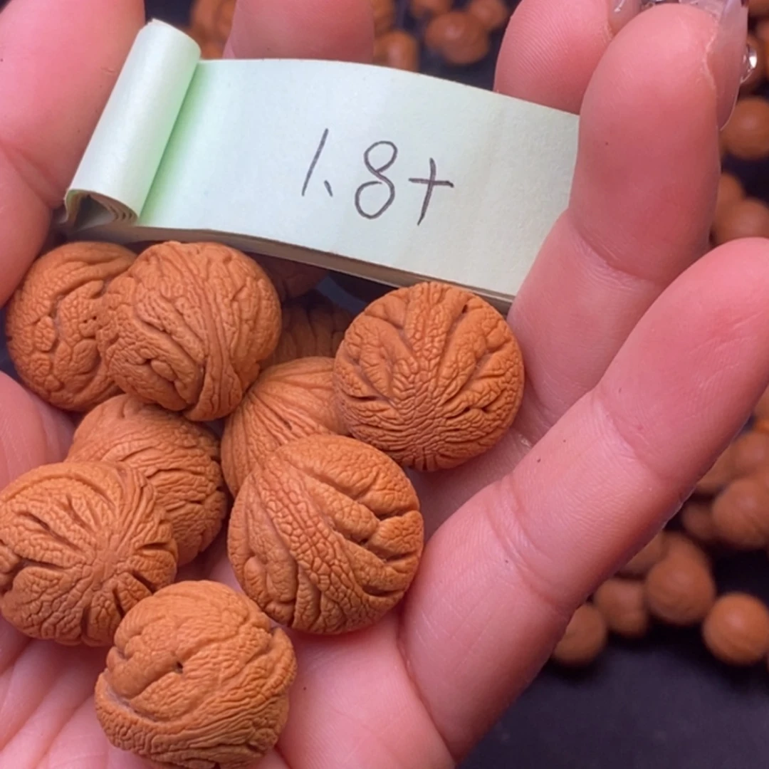 秦岭龙纹桃核14颗